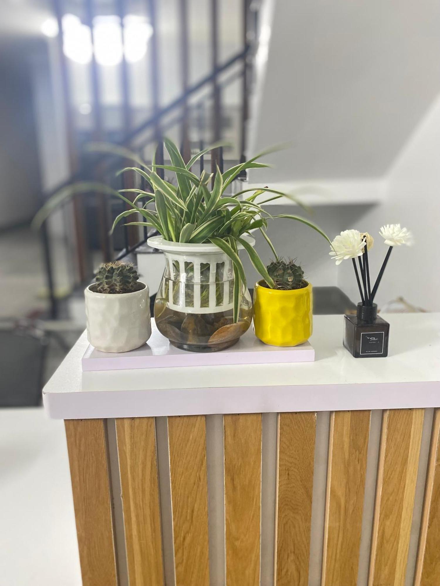 Tamcoc Motel Van Lam Екстериор снимка